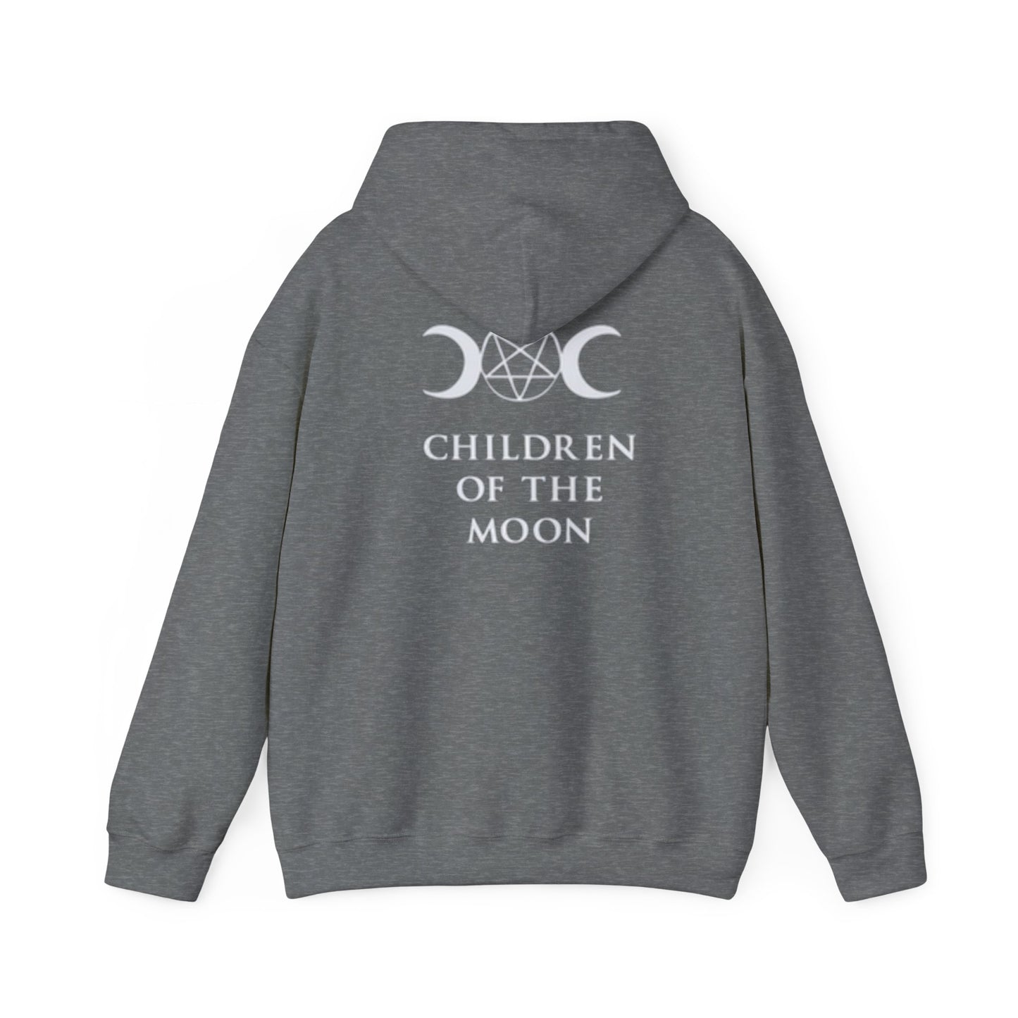 Glimmerleaf Academy (Children of the Moon) Unisex Heavy Blend™ Hooded Sweatshirt