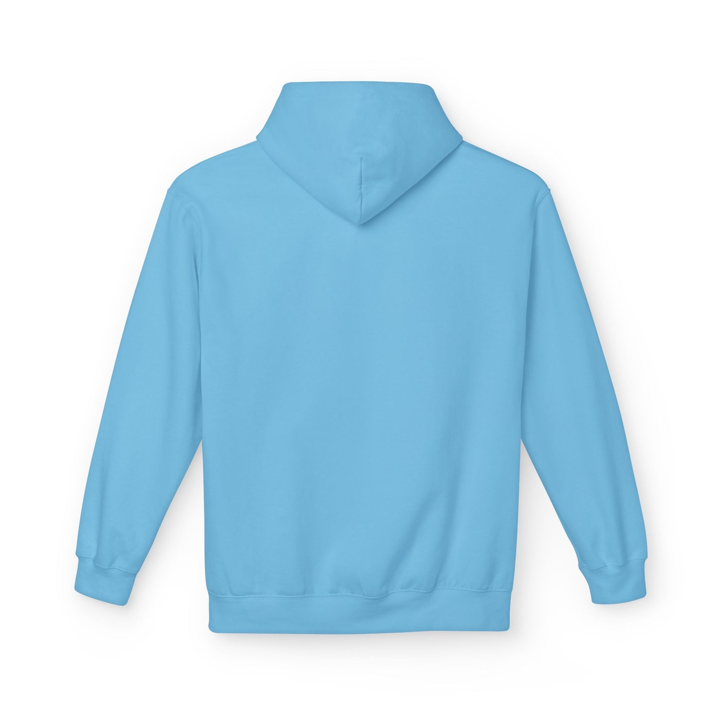 FFS Fitz Midweight Softstyle Fleece Hoodie