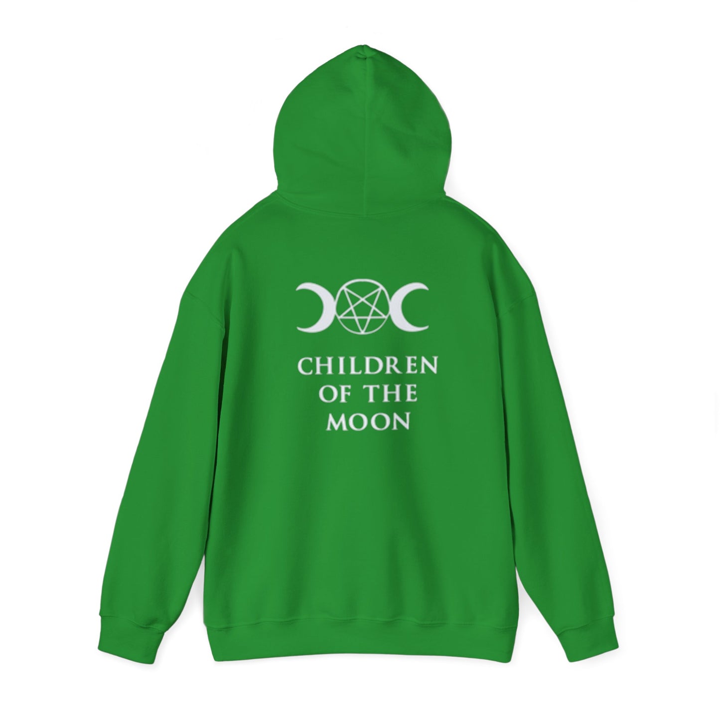 Glimmerleaf Academy (Children of the Moon) Unisex Heavy Blend™ Hooded Sweatshirt