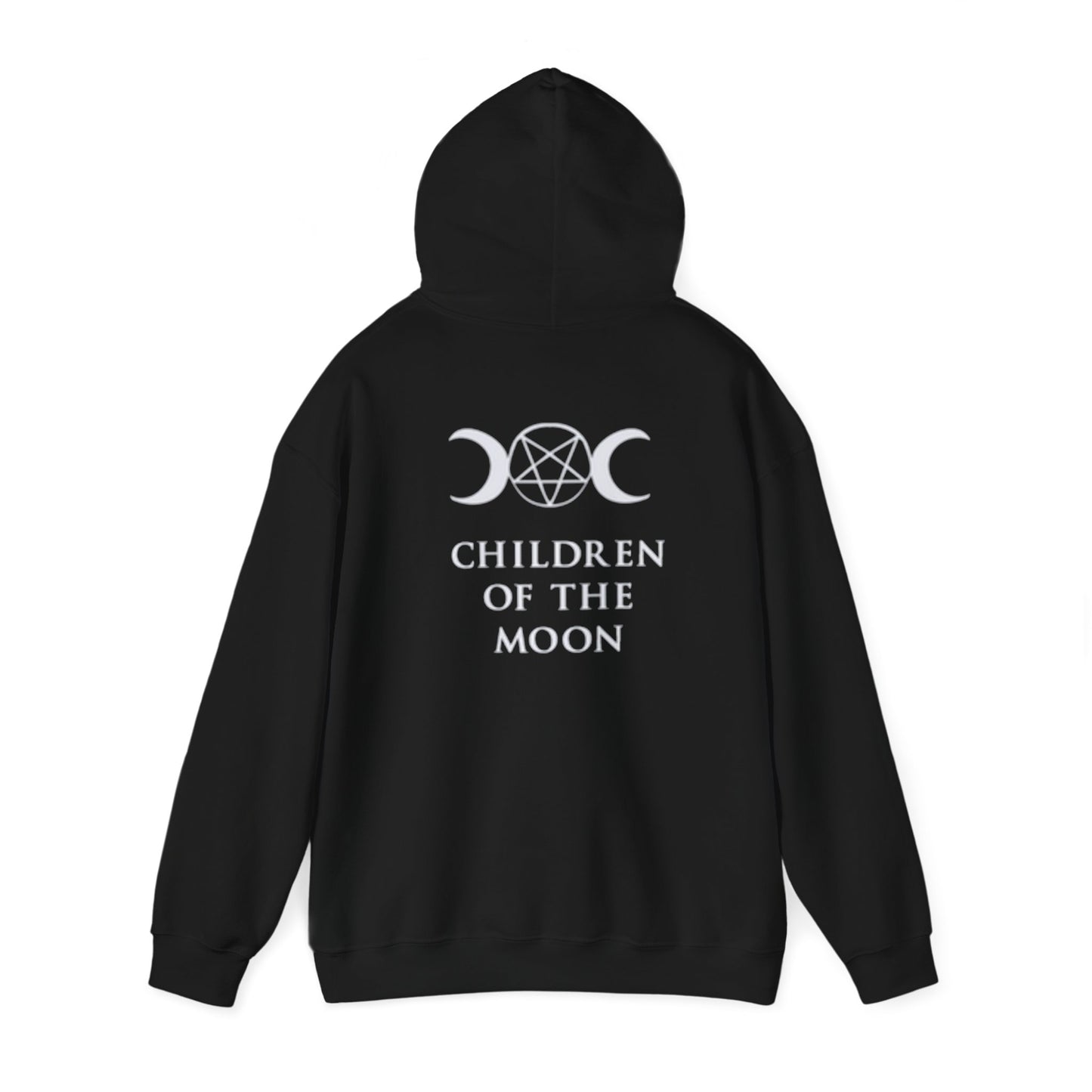 Glimmerleaf Academy (Children of the Moon) Unisex Heavy Blend™ Hooded Sweatshirt
