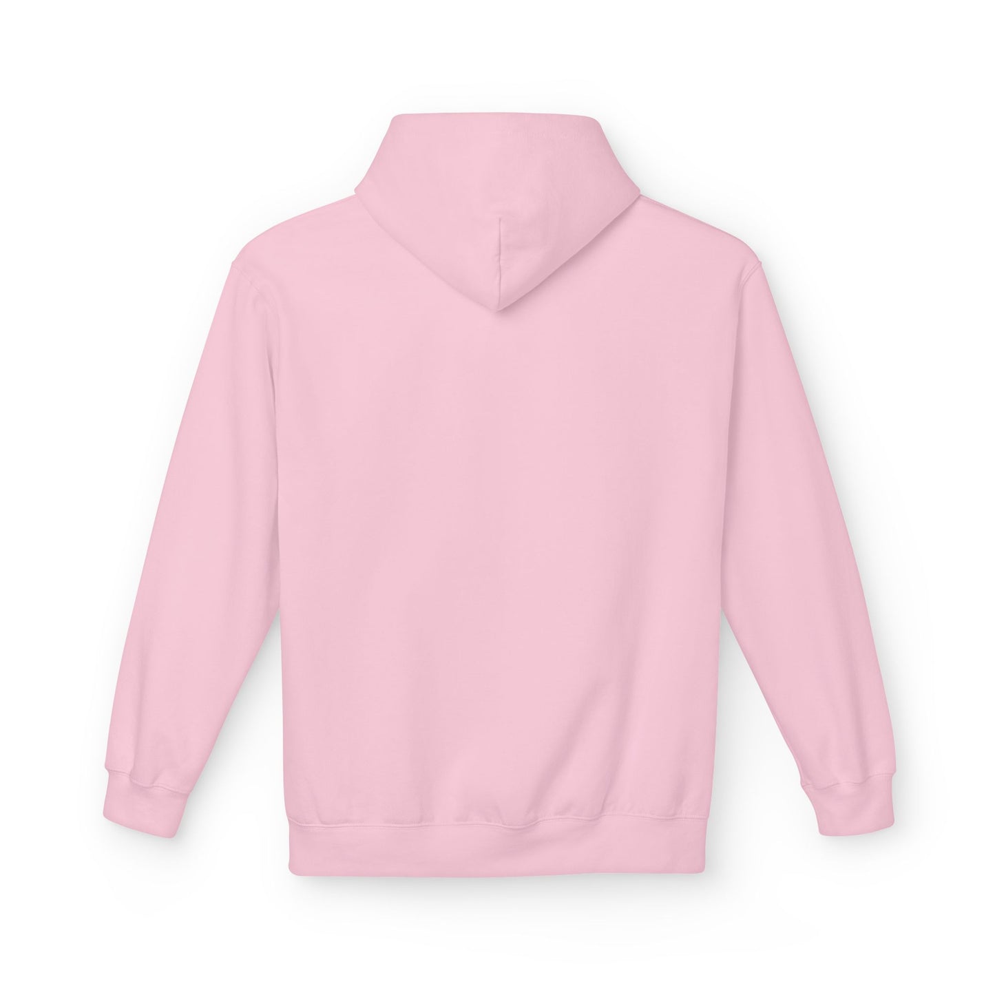 FFS Fitz Midweight Softstyle Fleece Hoodie