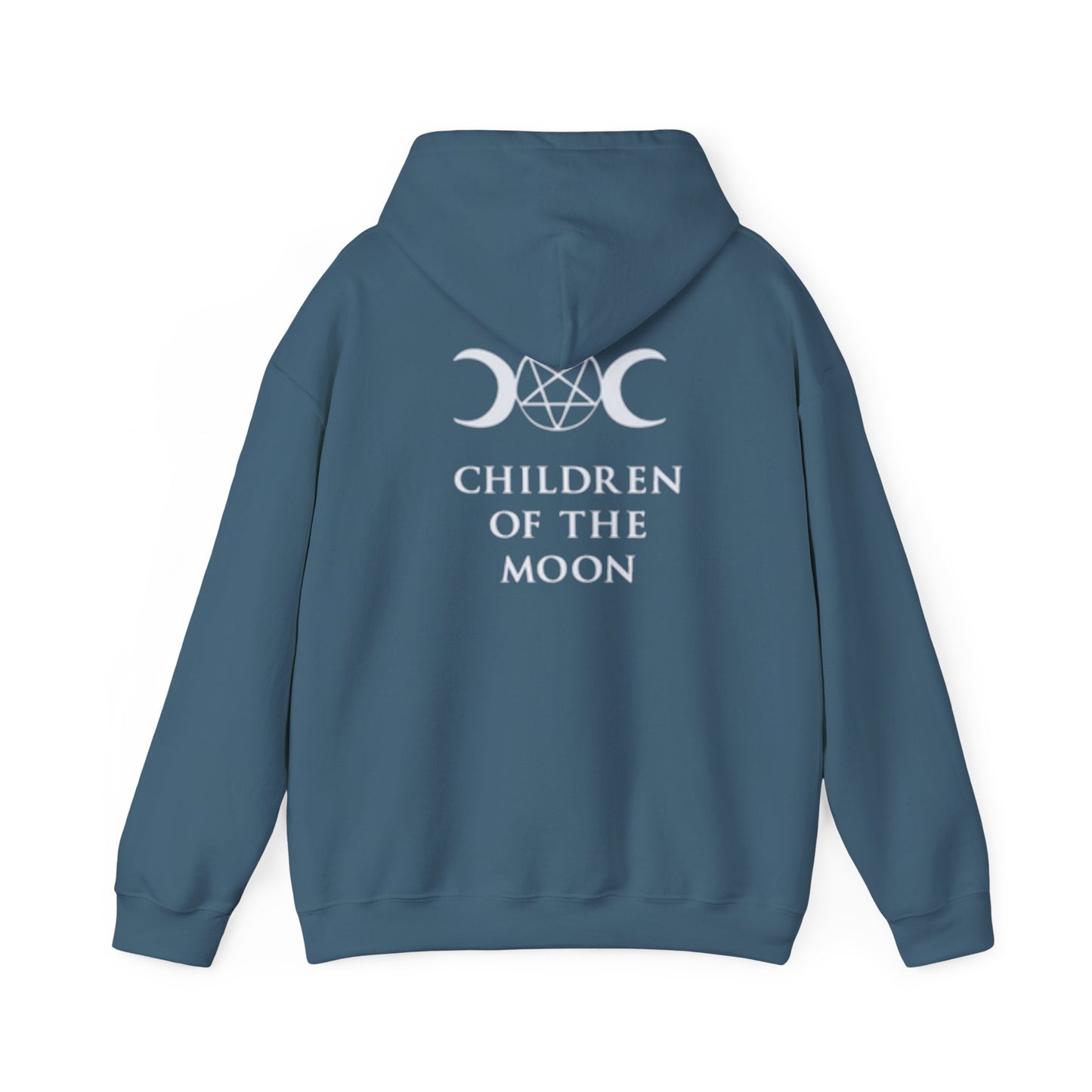 Glimmerleaf Academy (Children of the Moon) Unisex Heavy Blend™ Hooded Sweatshirt