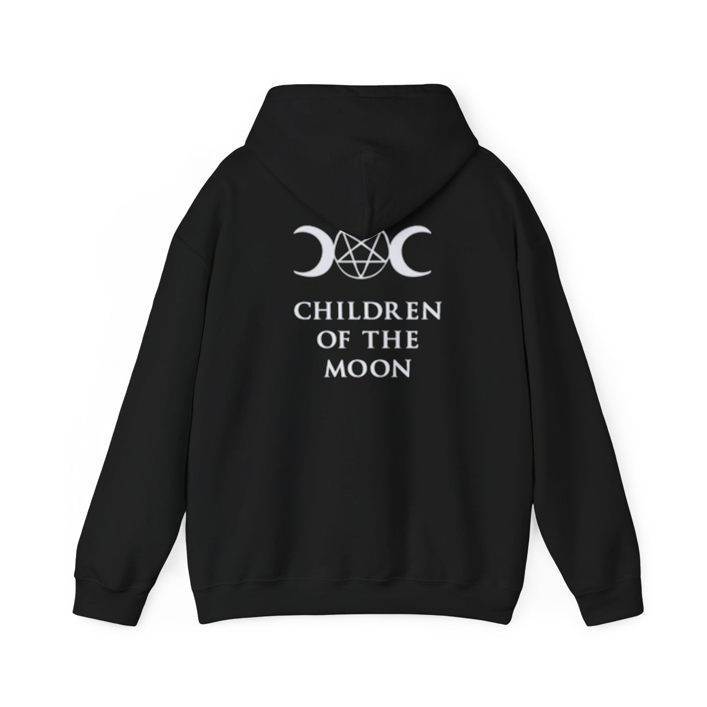 Glimmerleaf Academy (Children of the Moon) Unisex Heavy Blend™ Hooded Sweatshirt