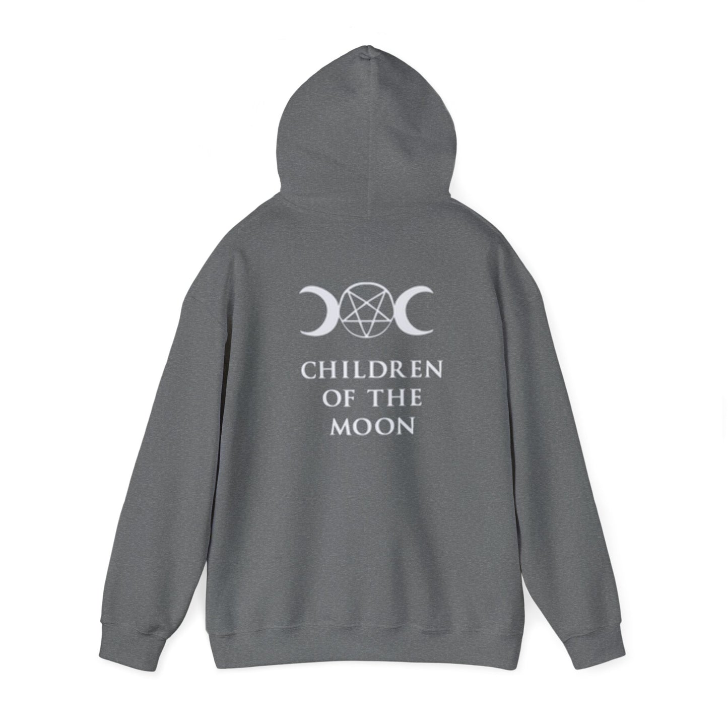 Glimmerleaf Academy (Children of the Moon) Unisex Heavy Blend™ Hooded Sweatshirt