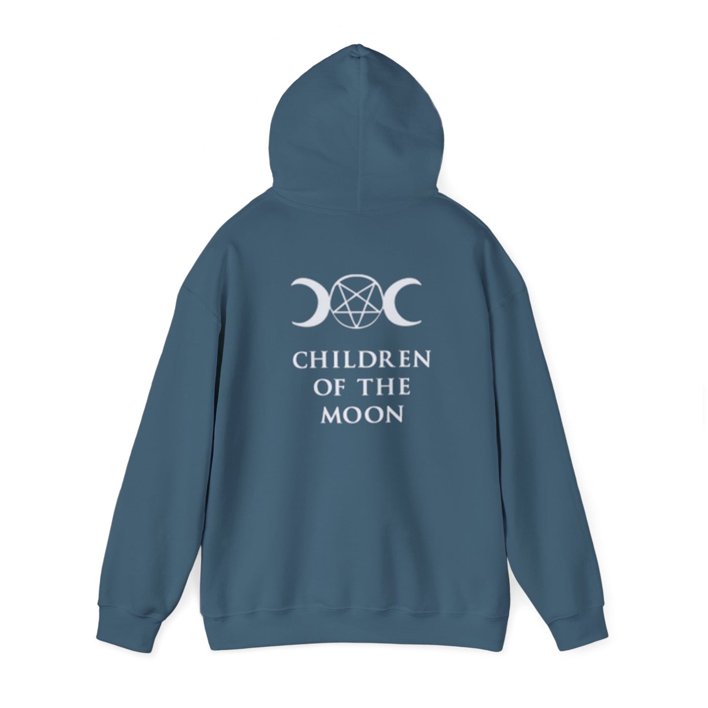 Glimmerleaf Academy (Children of the Moon) Unisex Heavy Blend™ Hooded Sweatshirt