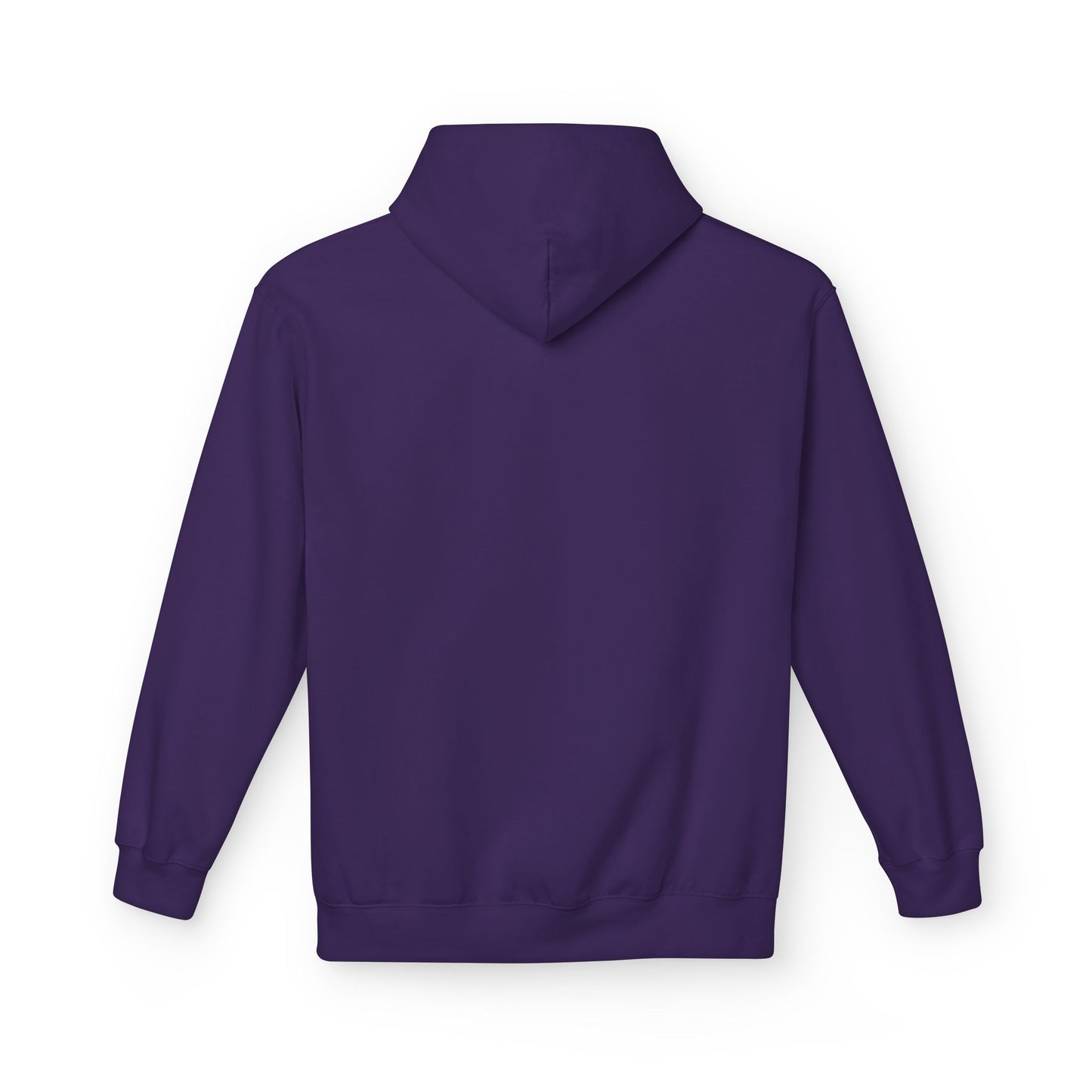 FFS Fitz Midweight Softstyle Fleece Hoodie