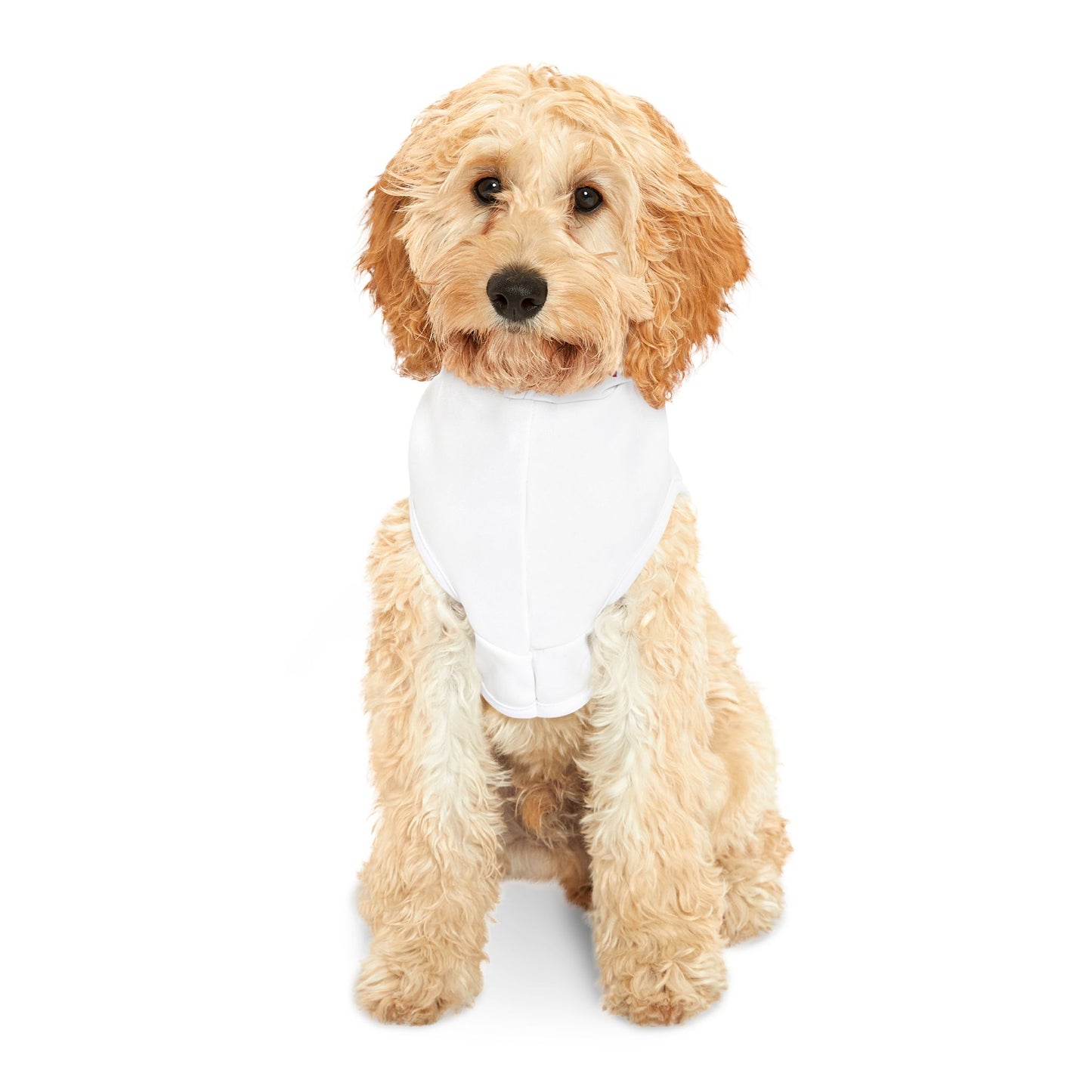 Capital Prep Dolly Pred Games Pet Hoodie