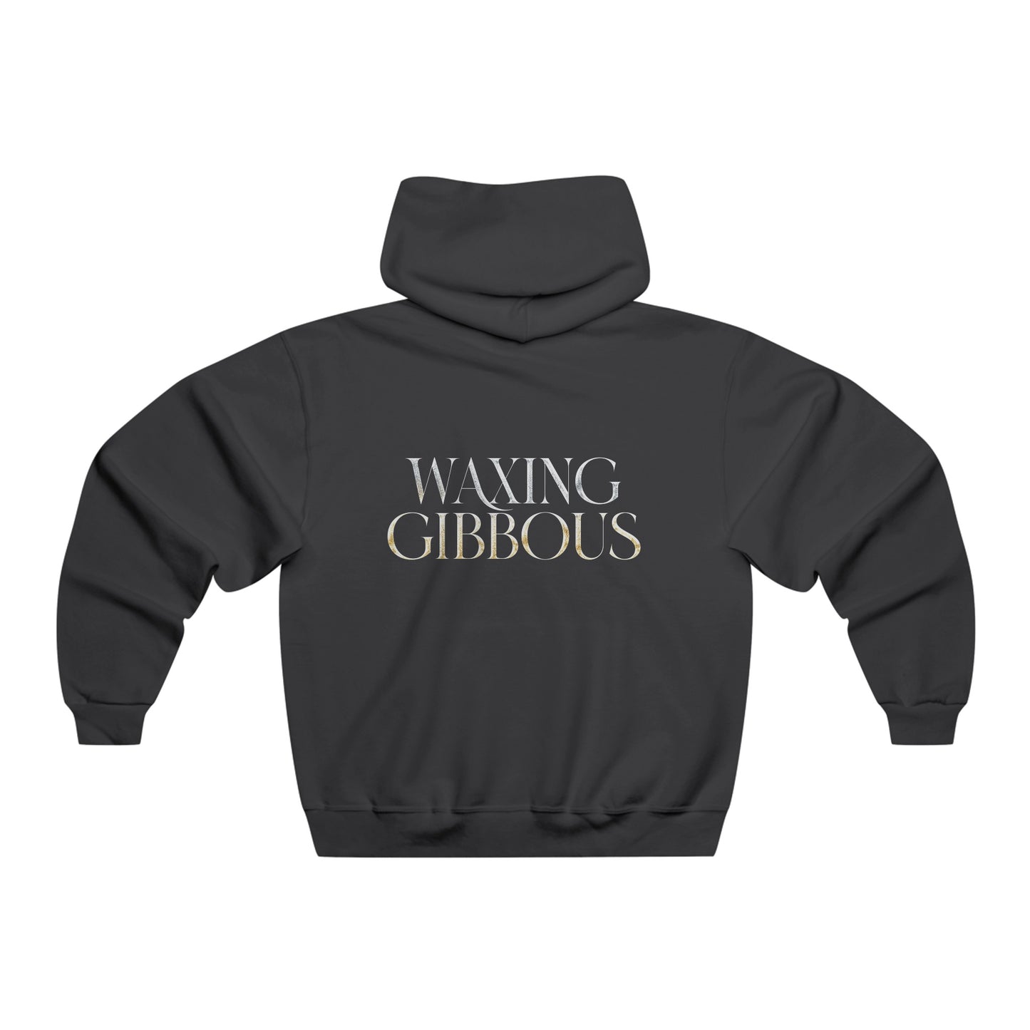 Briarvale Hospital Hooded Sweatshirt