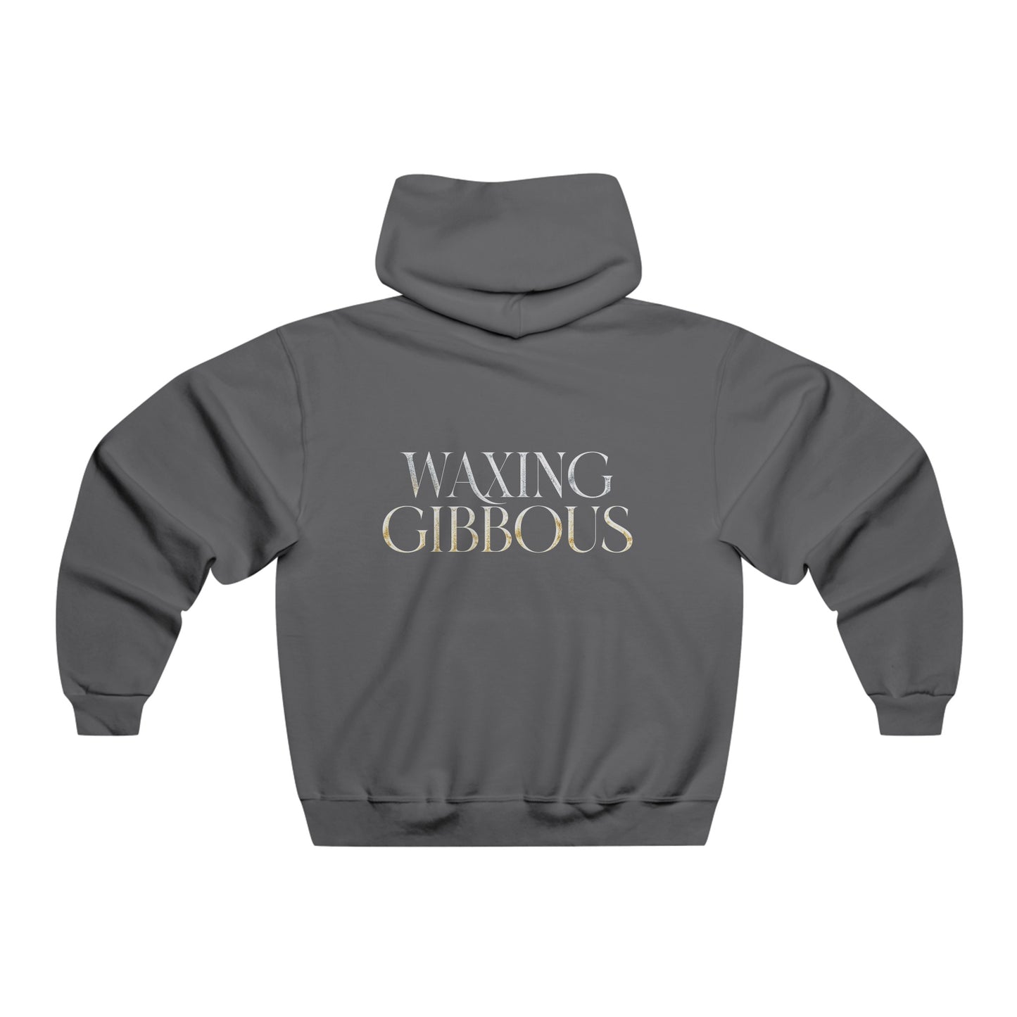 Briarvale Hospital Hooded Sweatshirt