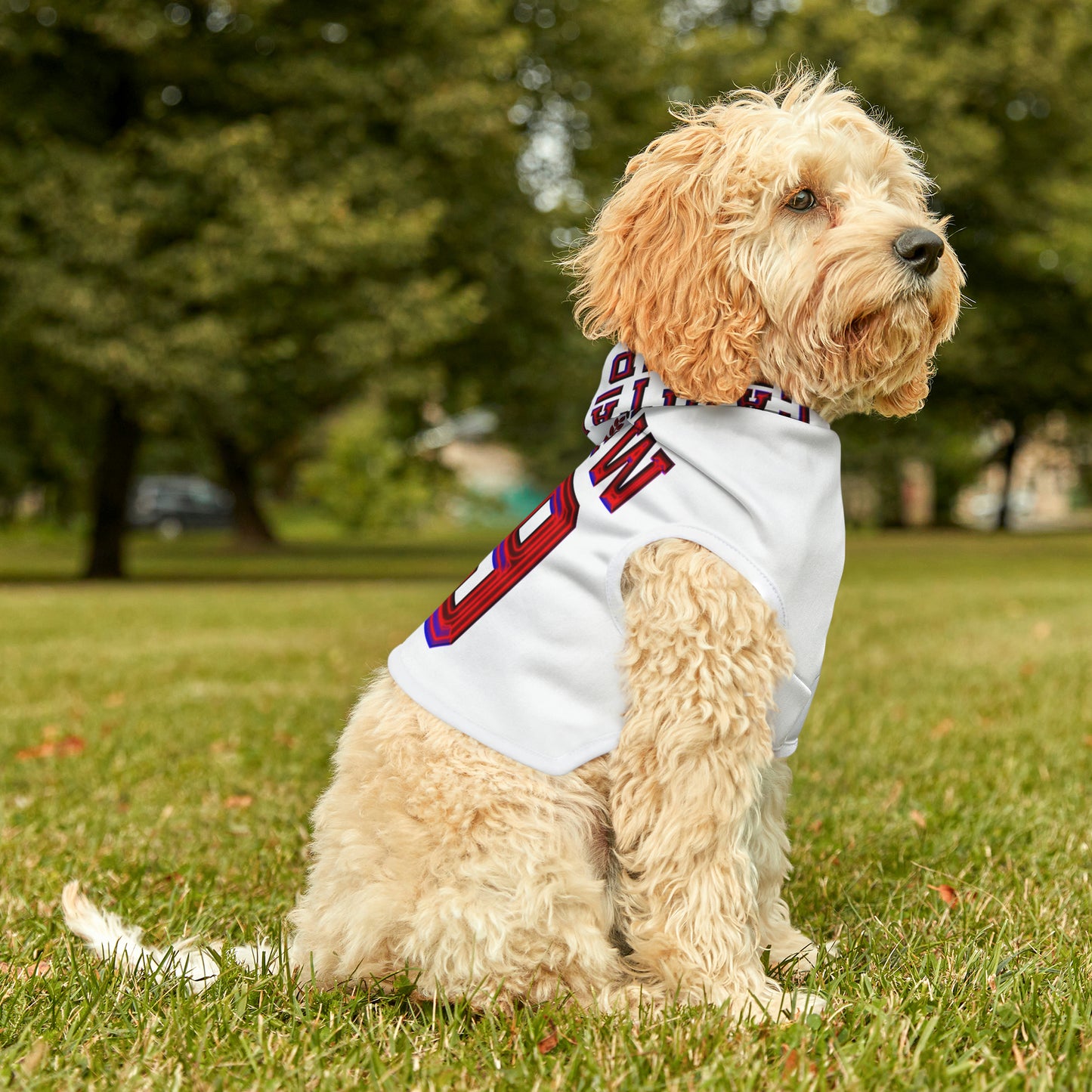 Capital Prep Dolly Pred Games Pet Hoodie